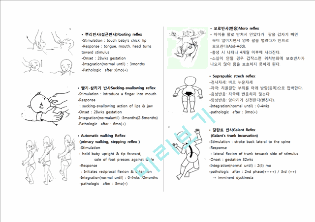 [의학] 반사와 반응[Reflex & Reaction] 정리 자료.hwp